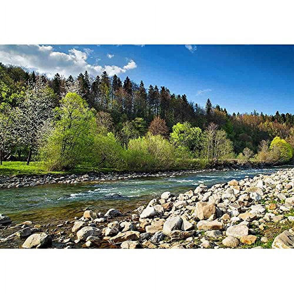 wall26 - Landscape with Forest, River and Stones - Removable Wall Mural | Self-Adhesive Large Wallpaper - 100x144 inches