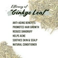 thumbnail image 3 of Well's Herb / 24 Kinds/Perfect for Herbal Hair Infused Oil/Edible Herbs (Ginkgo), 3 of 5