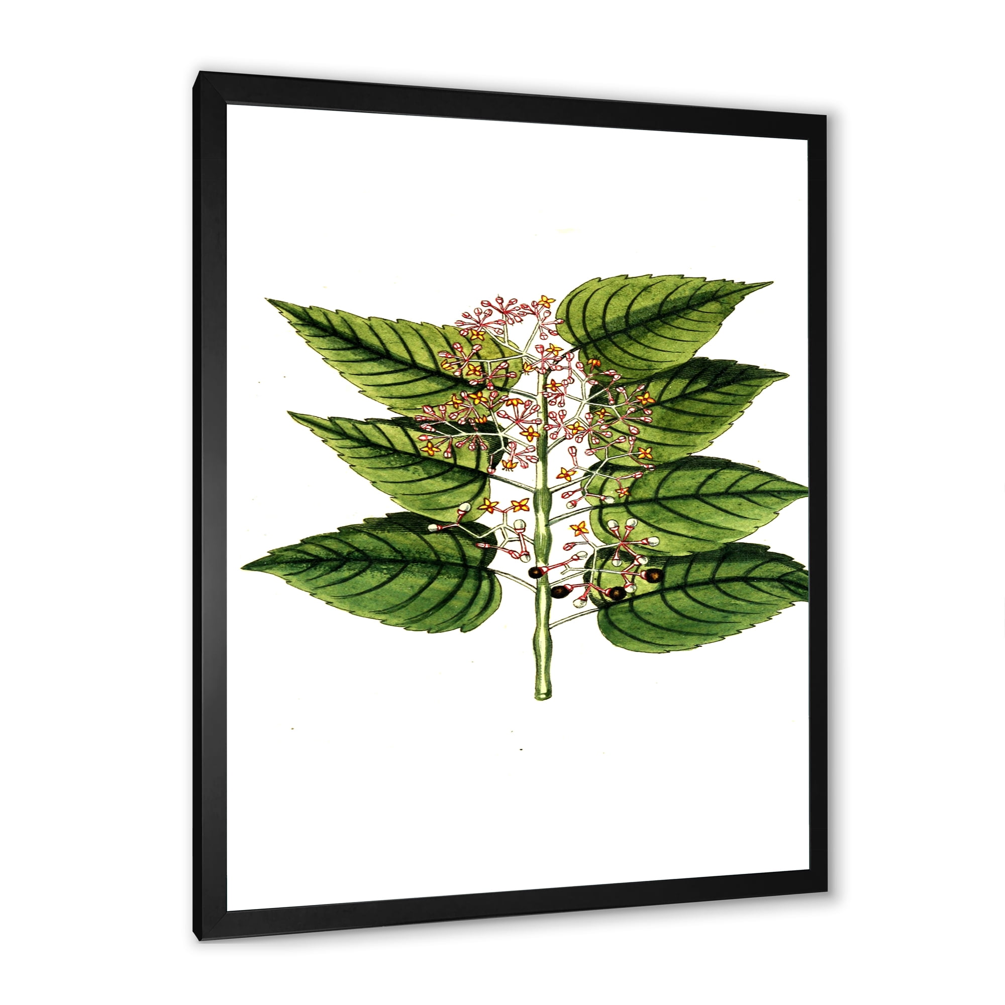 Designart 'Ancient Plant Life XXVI' Traditional Framed Art Print