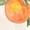 Orange, variant on Florida Shirt, Orange Blossoms T-shirt, Unisex Tee