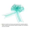 thumbnail image 4 of 10pcs 9 Inch Extra Large Pull Bow Gift Wrapping Big Organza Bows Ribbon Aquamarine Blue for Wedding Baskets Presents, 4 of 6