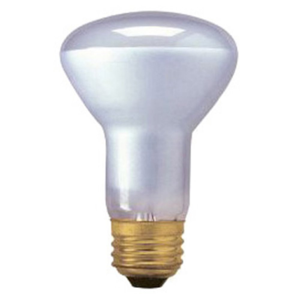 Bulbrite 45W Dimmable Halogen Reflector Light Bulb 10 pk.
