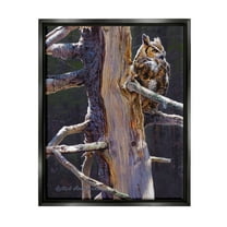 Stupell Industries Owl in Rustic Tree Animals & Insects Painting Black Floater Framed Canvas Art Print Wall Art, 17 x 21
