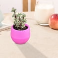 thumbnail image 5 of Mini Round Flower Pots 1 Pack - Small Plant Containers with Drainage Holes, Decorative Pots for Home Office Indoor Plants, Hot Pink, 5 of 9