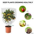 thumbnail image 3 of Insectos Y Pájaros, Malla Para Plantas, Red Antipájaros Con Cordón Para Proteger Frutas, Verduras Y Flores Vogacara HA043457-02, 3 of 6