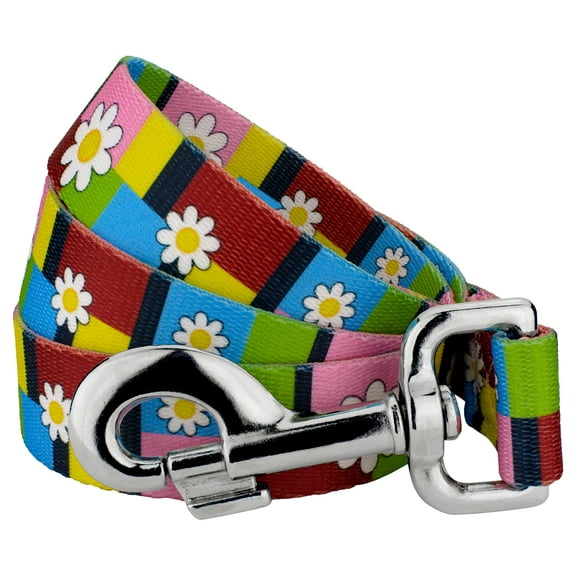 Country Brook Petz - Spring Daisies Dog Leash - Floral Collection with 8 Charming Designs (4 Foot, 5/8 inch Wide)