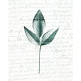 thumbnail image 2 of Kimberly, Allen 12x14 White Modern Wood Framed Museum Art Print Titled - Pressed Leaves 2, 2 of 4