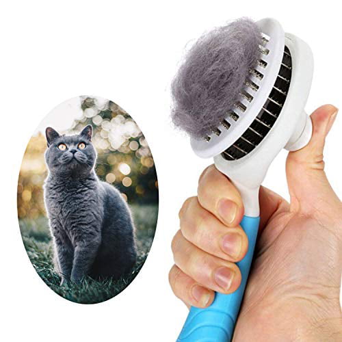 itPlus Cat Grooming Brush, Self Cleaning Slicker Brushes for Dogs Cats Pet Grooming  Brush Tool Gently Removes Loose Undercoat, Mats Tangled Hair Slicker Brush  for Pet Massage-Self Cleaning 