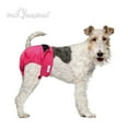 thumbnail image 5 of Paw Inspired 3ct Washable Reusable Dog Diapers for Female Doggie, Puppy, Cat, Cloth Diapers for Dogs in Heat, Pet Diapers, Incontinence Diapers that Stay On (Assorted (Black Lining), Medium), 5 of 8