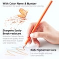 thumbnail image 5 of 520 Colored Pencils, Rich Pigmented Soft Core Coloring Pencils, Pre-sharpened Color Pencil Set,Ideal for Drawing Sketching Shading,Coloring Pencils for Adults Artists Beginners, 5 of 7