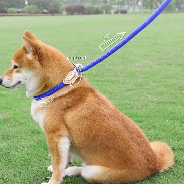 Jovati Double Dog Leash Large Dogs Double Dog Leash Tandem Leash For Two Dogs No Swivel Rotation Dual Strong Dog Leash Splitter For Small Dogs Doub