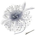 thumbnail image 1 of Elegant Faux Feather Mesh Fascinator Hat with Flower Embellishments.（gray）, 1 of 5