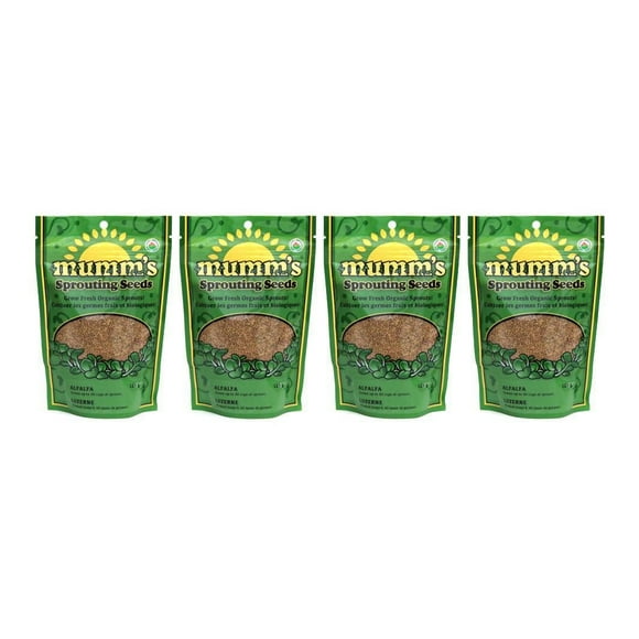 Graines de luzerne Mumm’s – 4 sachets