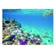 thumbnail image 2 of Fondo de imagen con adhesivo único de impresión 3D para acuario de pecera de 76x56cm Sunnimix Pegatina de fondo del tanque de peces, 2 of 8