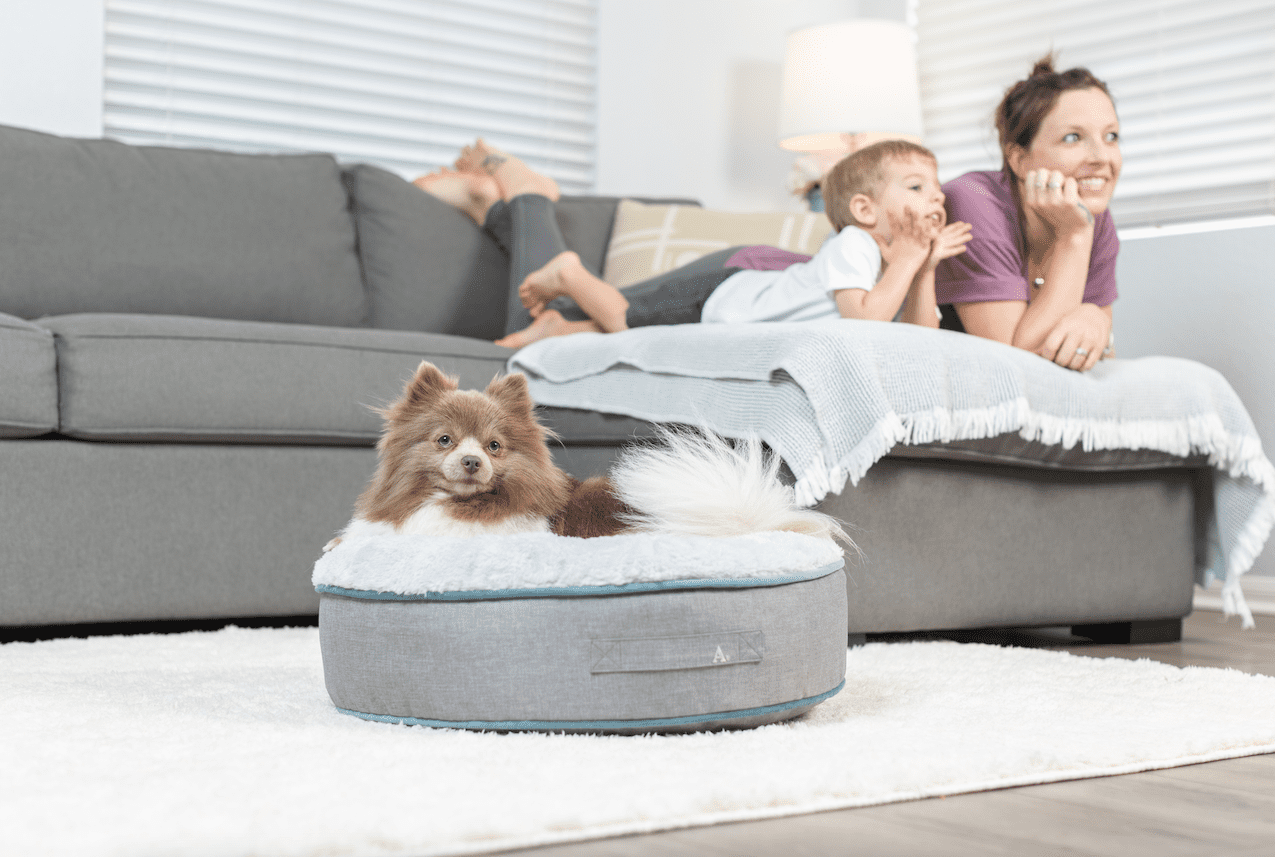 Allswell Premium Round Pet Bed, Small, Dogs and Cats