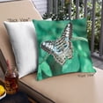 thumbnail image 1 of Ahgly Coussin d'Extérieur Insects Butterfly, 18 Pouces par 18 Pouces, 1 of 6