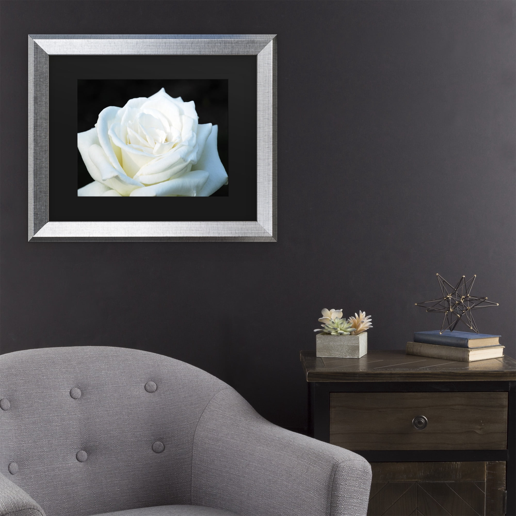 Trademark Fine Art 'White Rose II' Canvas Art by Kurt Shaffer