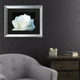 thumbnail image 3 of Trademark Fine Art 'White Rose II' Canvas Art by Kurt Shaffer, 3 of 4