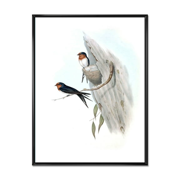 Designart 'Ancient Australian Bird Illustrations II' Traditional Framed Canvas Wall Art Print