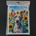 thumbnail image 3 of American Hairless Terrier in Sunflowers Greeting Cards Pack of 8 7 in x 5 in, 3 of 3