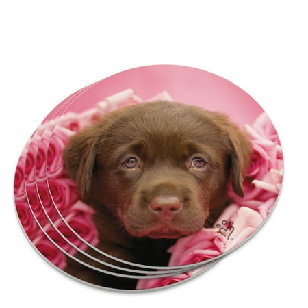 

Chocolate Labrador Retriever Puppy Dog Pink Roses Novelty Coaster Set