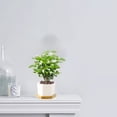 thumbnail image 4 of Hexagon Ceramic White Succulent Pots with Trays Plants Not Included Succulent Pots White Mini Ceramic Flower Planter Pot with Tray Plants Not Included,, 4 of 9