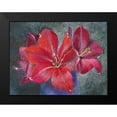 thumbnail image 2 of Botman, Loes 18x15 Black Modern Framed Museum Art Print Titled - Amaryllis, 2 of 5