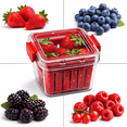 thumbnail image 2 of Dependable Industries Fruit and Vegetable Saver Storage Basket Strawberries Blueberries - Promotes Airflow and Prevents Spoilage Produce Storage Container with Lid BPA-FREE, 2 of 6