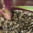 thumbnail image 4 of Horticultural Organic Vermiculite by Gardenera Labs - (Made in Ukraine) - Medium Grade - Natural Soil Additive for Potted Plants, Orchids, Hydroponics, Terrariums (1 Quart), 4 of 7