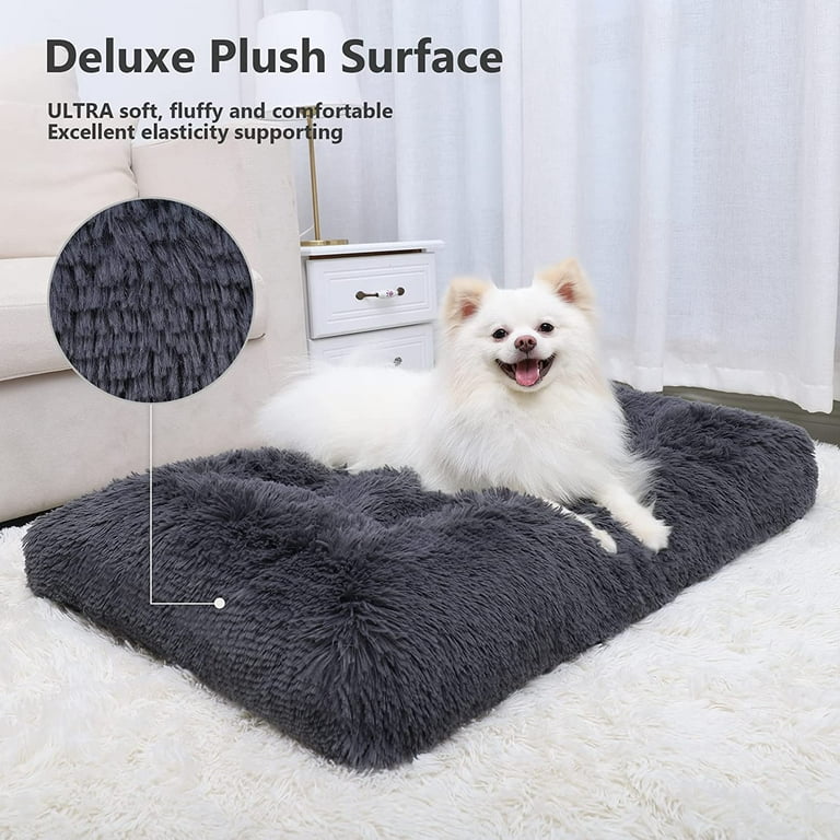 Cheap dog beds walmart hotsell