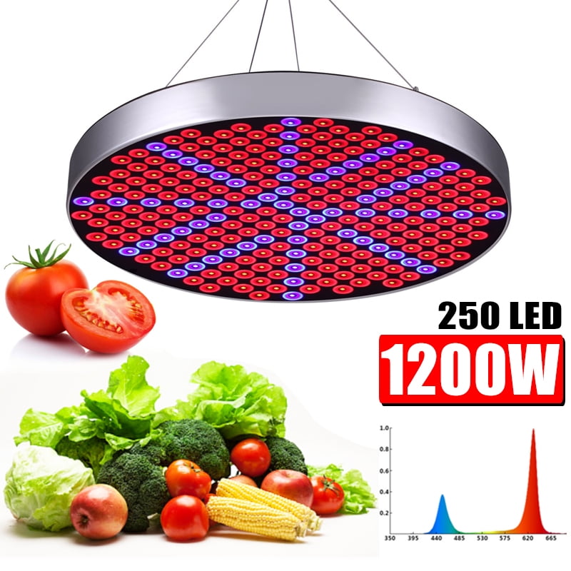 Grow Light 1200W AC85V265V 250 LED Growing Lamp Lighting Blue & Red