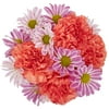 Fresh-Cut Stripy Carnation Flower Bouquet, Minimum 6 Stems, Colors Vary