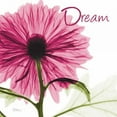 thumbnail image 3 of Koetsier, Albert 12x12 Black Modern Framed Museum Art Print Titled - Pink Chrysanthemum Dream, 3 of 5