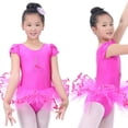 thumbnail image 5 of Toddler Girls Short Sleeve Glitter Ballet Tutu Leotard Dance Ballerina Outfit Dress with Flower Front, 5 of 9