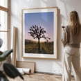 thumbnail image 4 of Joshua Tree Sunset II - Joshua Tree California Photography Desert Sunset Silhouette Nature Cactus Landscape Scenic Unframed Wall Art Print 4 x 6 inches, 4 of 81