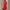 Red, variant on Aobny Black Ladies Spring Dresses Elegant Office Shirt Dress Color Block Long Sleeve Collared Casual Dresses