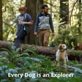 thumbnail image 2 of Ruffwear, Crag Ex Leash, Extendable Dog Leash, Hand-Held or Waist-Worn Reflective Lead, Rising Wave, 2 of 9