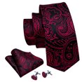 thumbnail image 4 of Barry.Wang Paisley Ties for Men Flower Silk Necktie Set with Handkerchief Cufflinks Wedding Party Business, 4 of 4