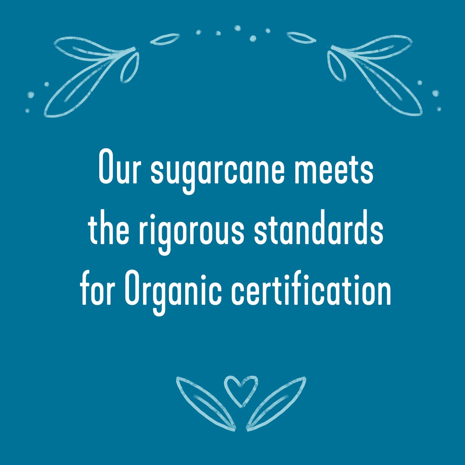 Wholesome Organic Raw Cane Turbinado Sugar -- 1.5 lbs Pack of 4
