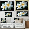 thumbnail image 4 of Designart "Elegance In Charming Plumeria I" Plumeria Floater Framed Canvas Art Print, 4 of 5