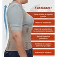thumbnail image 2 of Faja Dorsolumbar Transpirable Magnimed Talla Mediana, 2 of 6