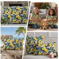 thumbnail image 2 of 2 Pack Outdoor Waterproof Throw Pillow Covers,Summer Watercolor Lemon Decorative Square Pillow Case Patio Pillowcases for Chair Couch Sofa 16x16in, 2 of 9
