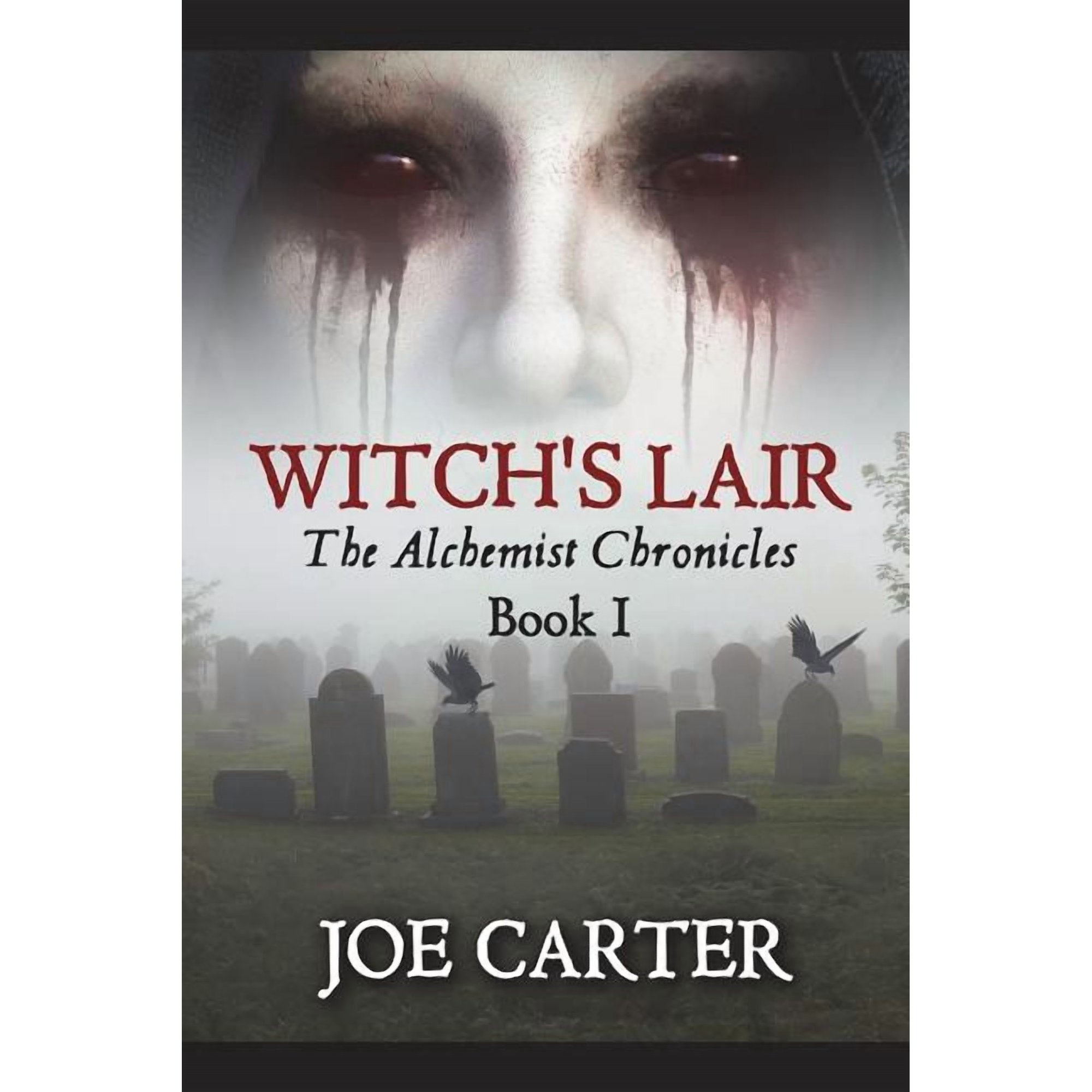 Alchemist Chronicles (Book 1) Witch s Lair Book 1 (Paperback)
