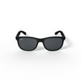 thumbnail image 6 of Ray-Ban RB4202 Andy Sunglasses, 6 of 6