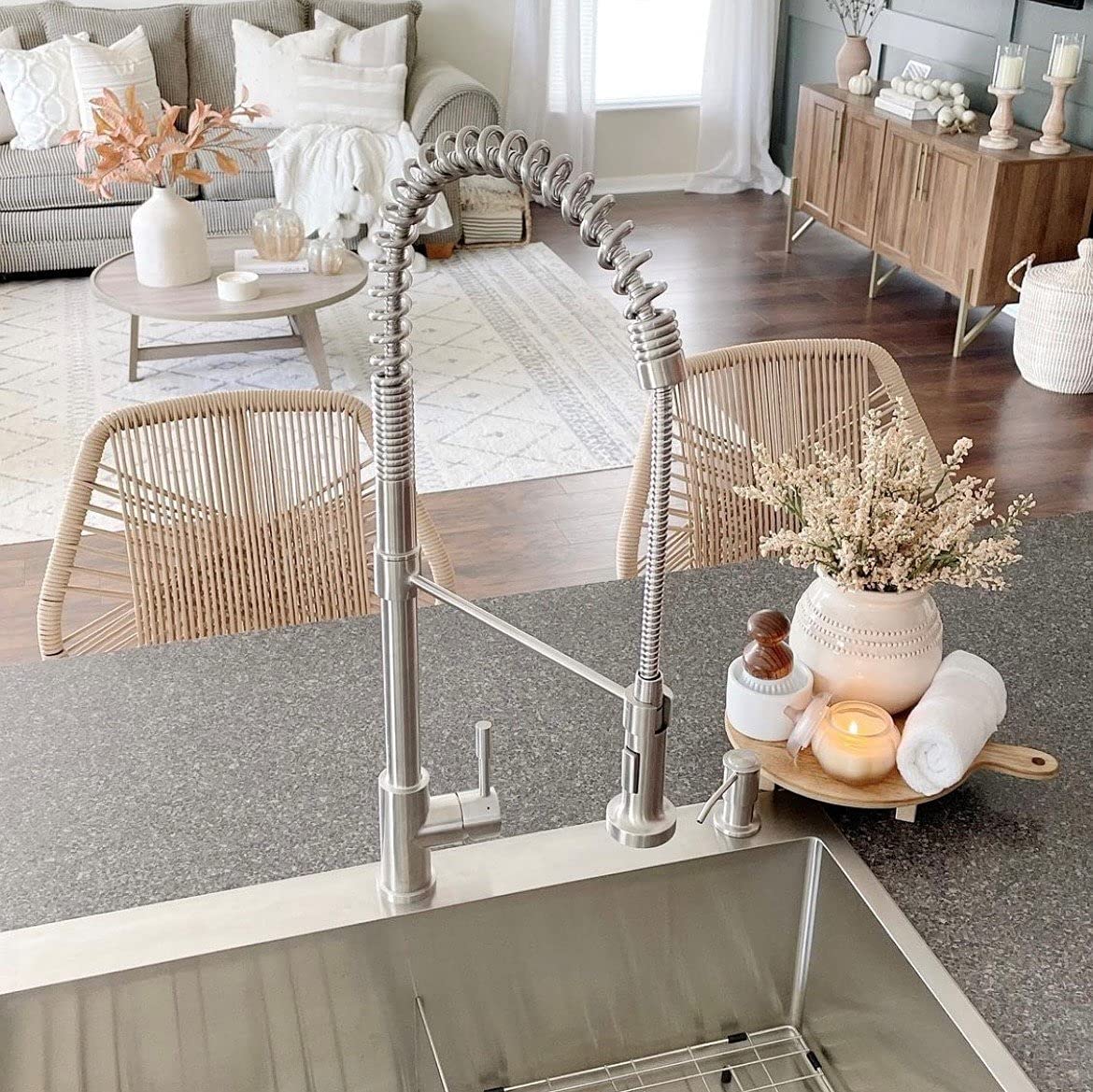 Lulani Soneva Stainless Steel 1-Handle High Arc Semi-Professional Kitchen Faucet - Brushed Stainless