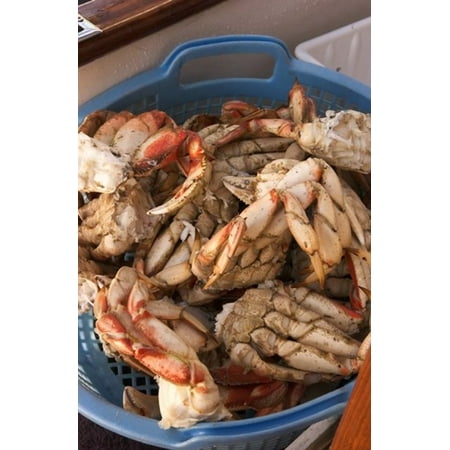 Dungeness Crab Legs - Dungeness Cooked Crab Queen Charlotte Islands Canada Poster Print by Savanah Stewart