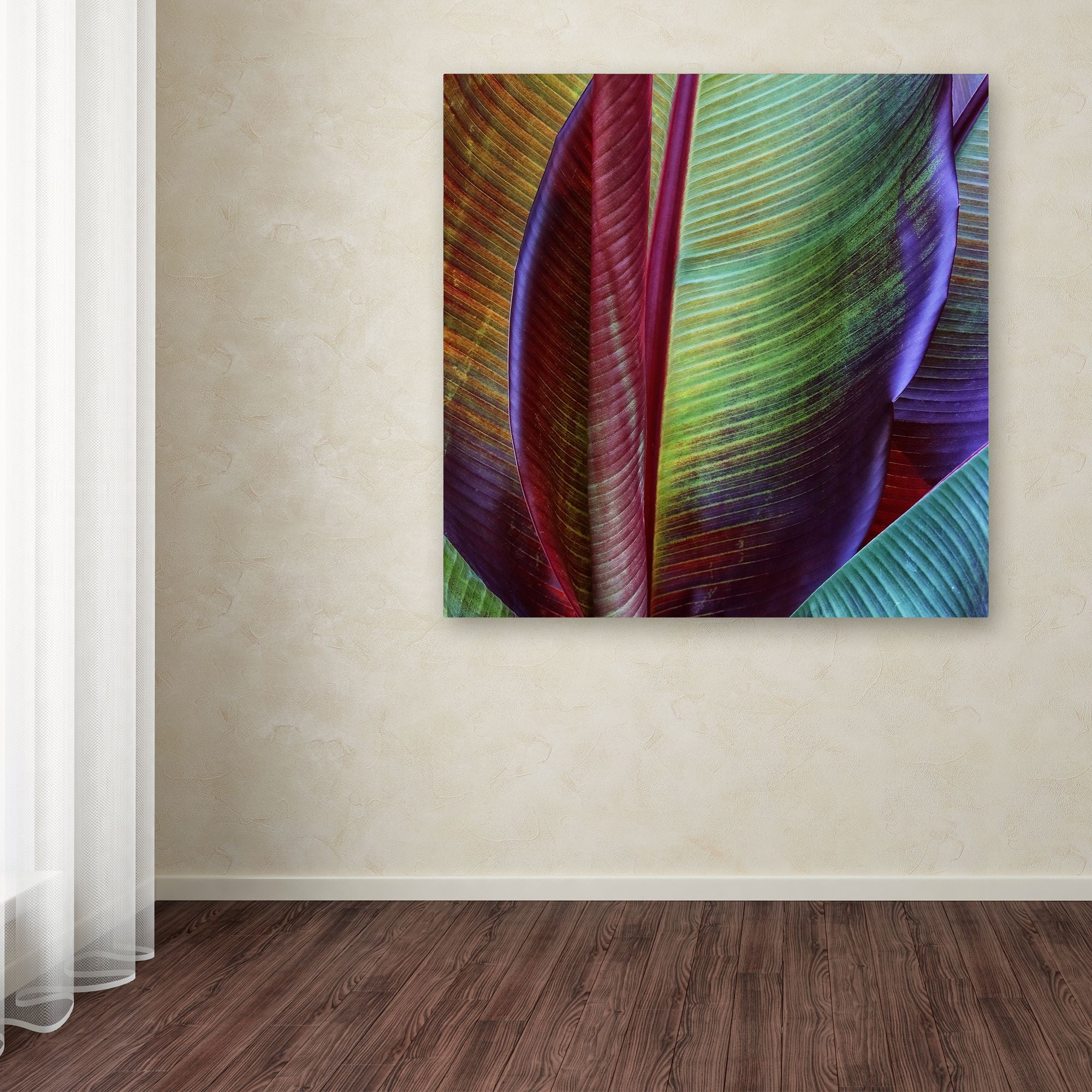 Trademark Fine Art 'Banana Skin' Canvas Art by Francois Casanova