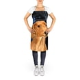 thumbnail image 2 of Apron, 2 of 4