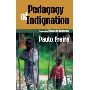 Critical Narrative: Pedagogy of Indignation (Hardcover)