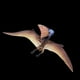 thumbnail image 4 of Juguete Dinosaurios Juguete Simulación Pteranodon Modelo Juguete Adornos Juguetes Educativos Para Niños, 4 of 8